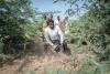 Ethiopia's invasive prosopis tree chokes livelihoods and lan...