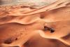 Abu Dhabi Desert Challenge seals FIA 2-star environmental accreditation