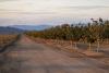 Arizona’s Hualapai Valley now a ‘de facto transfer basin’ for out-of-state investors and corporate farms