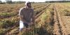 Young farmers face mounting financial barriers to enter agriculture
