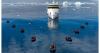 Aurora to operate 34 voyages in 2027-28 Antarctica season
