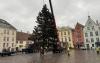 Gallery: Tallinn's Christmas tree arrives in Town Hall Square