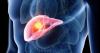 Scientists in Czechia uncover how the liver regenerates in “one of the most significant discoveries”