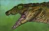 Tiny 95-Million-Year-Old Croc Relative Baffles Scientists With Its Strange Teeth