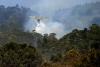 Algerian firefighters battle wildfire near Algiers after families evacuated
