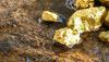Scientists issue warning after making disturbing discovery near gold mines: 'It raises human health concerns'