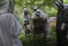 Mangrove Honey, Women's Work: How Panama and Peru Turn Bees Into a Coastal Shield