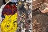US researchers develop composting methods for cotton textiles