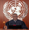 Cameroonian judge elected 1st Vice P...