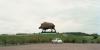 Roadside sculptures: France's motorway art