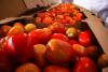Tomatoes To Argentina: After 70 Years, Paraguay Shifts From Importer To Exporter