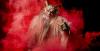 Krampus Show 2025: Prague’s most terrifying holiday tradition returning to Výstaviště