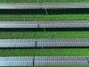 Why Farmers Are Shielding Their Crops With Solar Panels