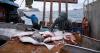 Shrinking prize: Challenges mount for Alaska and Washington fishing crews as halibut decline