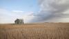 Minnesota farmers are pessimistic about their future