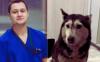 Hospital Suspends North Macedonian Doctor Involved in Dog Runover Case in Sofia