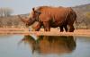 Namibia: Africa’s Hidden Wonder Now Calling Indian Travellers