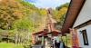Secret tourist stop in Japan has a lift car that whisks you away to a mystery mountain destination