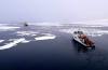 Melting Arctic fuels shipping surge, heightening safety risks