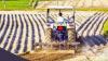 India May Gain Slight Edge As US Exempts Several Agri Products