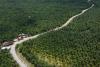 Brazil seeks biofuel boom, but critics query climate impact