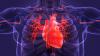 Poland’s high cardiovascular mortality linked to environmental risks