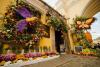 Guatemala Celebrates Flower Festival With 300,000 Visitors