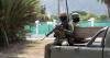 US Marines in Haiti Exchange Fire with Suspected Criminal Gangs