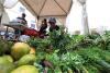 Philippines targets Indian market for organic food products