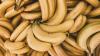 Colombia Signs Trade Deal With China for Bananas, Cocoa and Coffee