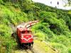 Alishan Forest Railway featured in Lonely Planet book