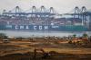 CMA CGM Flags Tough 2026 for Shipping Amid Rising Capacity Risks