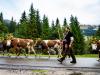Swiss agriculture reports very good 2025