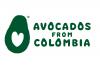 Colombia Avocado Board welcomes Meg Buchsbaum as new retail account manager