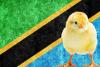 Tanzania opens market to Brazilian poultry to meet growing demand