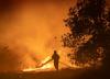 Environmental groups: Forest protection must begin with prevention