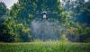 MSU launches innovative agricultural UAS video series