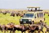 Tanzania’s tourism industry defies election protests as visitor numbers surge