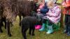 Farming education charity takes livestock project nationwide