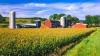 Rising Energy Costs Threaten Family Farms, Consumers with High Food Prices, New CEA Report Finds