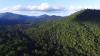 The IUCN-led Science Task Force launches a new report on The Trinational Atlantic Forest Pact,…