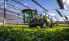 France agrivoltaics trials show early crop and livestock gains