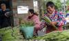 GT on the spot: asparagus industry in E.China's Jiangxi shows international human rights officials path to poverty relief