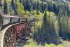 Skagway's White Pass Railway cruise excursions in Alaska: All you need to know