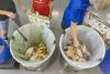 Nonprofit secures $750,000 to launch food waste recycling in Newport County elementary schools