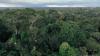Germany pledges €1 billion to Brazil's rainforest fund