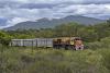 Grupo Mexico, Major Crop Traders Eye Milei Rail Privatization in Argentina