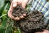 “What We Do To The Soil, We Do To Ourselves”: Reforming Agriculture From The Ground Up