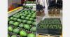"Low prices driven by high supply in a saturated European avocado market"