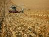 China to set up agricultural machinery plants in Punjab